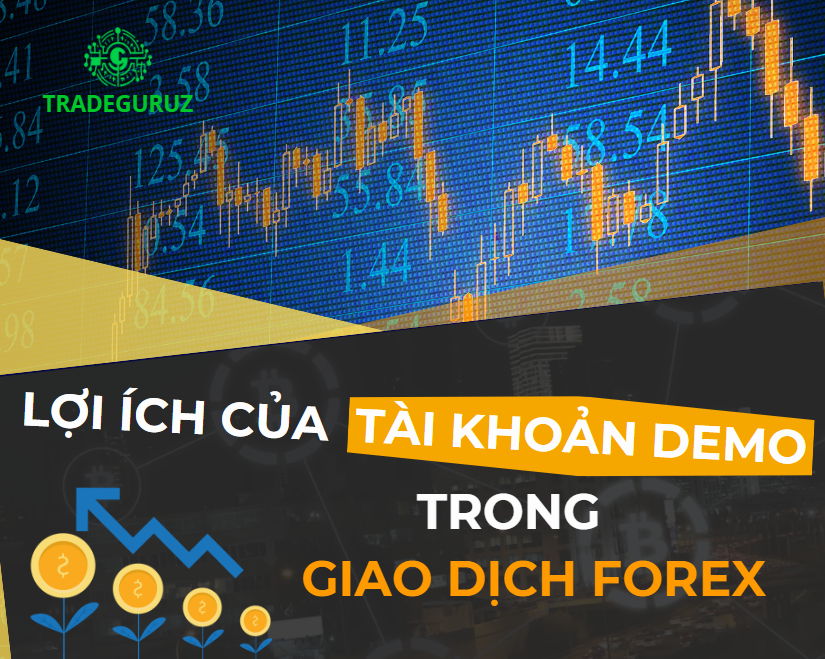 blog-image
